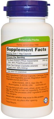 المكملات الغذائية، بيكنوغينول Now Foods, Pine Bark Extract, 240 mg, 90 Veg Capsules