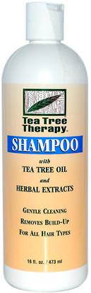 Tea Tree Therapy, Shampoo, With Tea Tree Oil and Herbal Extracts, 16 fl oz (473 ml) ,حمام، الجمال، الشامبو، الشعر، فروة الرأس، مكيف