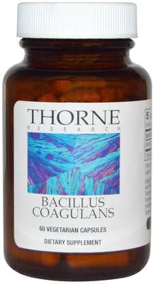 Thorne Research, Bacillus Coagulans, 60 Vegetarian Capsules ,المكملات الغذائية، البروبيوتيك