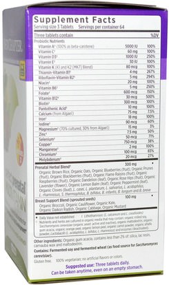 الفيتامينات، الفيتامينات قبل الولادة New Chapter, Perfect Prenatal Multivitamin, 192 Tablets