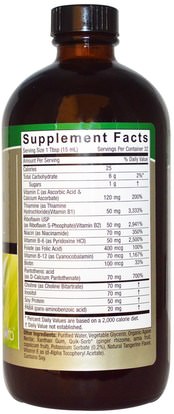 الفيتامينات، فيتامين ب المركب، فيتامين ب، فيتامين ب السائل Natures Answer, Liquid Vitamin B-Complex, Natural Tangerine Flavor, 16 fl oz (480 ml)