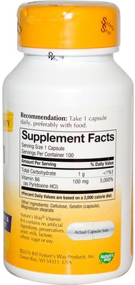 الفيتامينات، فيتامين ب Natures Way, Vitamin B-6, 100 Capsules