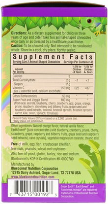الفيتامينات، فيتامين ج مضغ Bluebonnet Nutrition, Super Earth, Rainforest Animalz, Vitamin C, Natural Orange Flavor, 90 Chewables