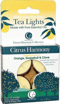 Way Out Wax, Tea Lights, Citrus Harmony, 4 Candles, 0.6 oz (16 g) Each ,حمام، الجمال، الشمعات