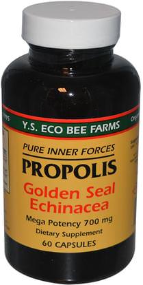 Y.S. Eco Bee Farms, Propolis, Golden Seal Echinacea, 60 Capsules ,المكملات الغذائية، المضادات الحيوية، إشنسا، دنج النحل