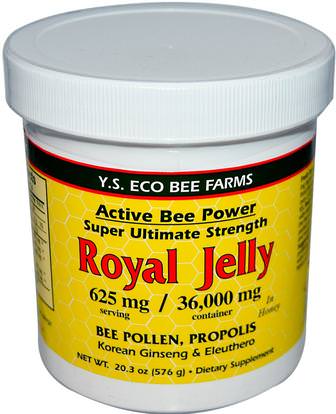 Y.S. Eco Bee Farms, Royal Jelly, 20.3 oz (576 g) ,المكملات الغذائية، منتجات النحل، هلام الملكي، الغذاء، المحليات