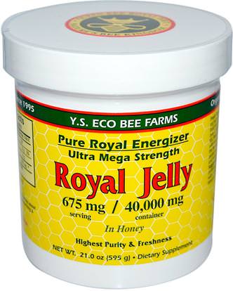 Y.S. Eco Bee Farms, Royal Jelly, in Honey, 675 mg, 21.0 oz (595 g) ,المكملات الغذائية، منتجات النحل، هلام الملكي، الغذاء، المحليات