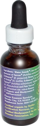 Herb-sa Flower Essence Services, Yarrow Environmental Solution, 1 fl oz (30 ml)