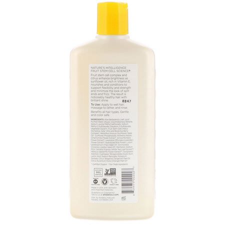 Andalou Naturals, Shampoo, Brilliant Shine, For Strength and Vitality, Sunflower & Citrus, 11.5 fl oz (340 ml):شامب, العناية بالشعر