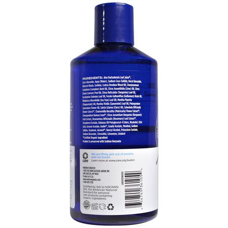 Avalon Organics, Scalp Normalizing Shampoo, Tea Tree Mint Therapy, 14 fl oz (414 ml):فر,ة الرأس ,العناية بالشعر