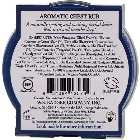 Badger Company, Aromatic Chest Rub, Eucalyptus & Mint, 2 oz (56 g):المراهم, الم,ضعية