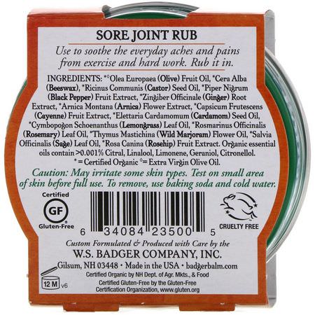 Badger Company, Sore Joint Rub, Arnica Blend, 2 oz (56 g):Homeopathy, Arnica Topicals