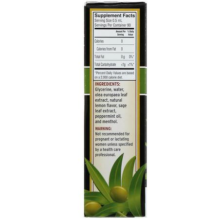 Barlean's, Olive Leaf Complex, Throat Spray, Peppermint Flavor, 1.5 fl oz (45 ml):نزلات البرد للأطفال, صحة الأطفال