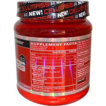 BSN, Cellmass 2.0, Concentrated Post Workout Recovery, Arctic Berry, 1.06 lbs (485 g):مصل بر,تين مصل الحليب, بر,تين مصل الحليب