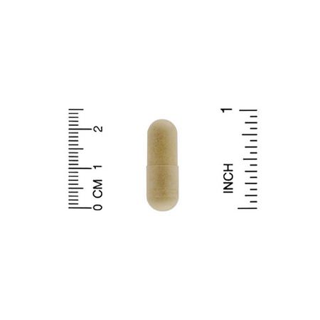 California Gold Nutrition CGN Sea Mussel Ginger Root - جذر الزنجبيل, المعالجة المثلية, الأعشاب, بلح البحر