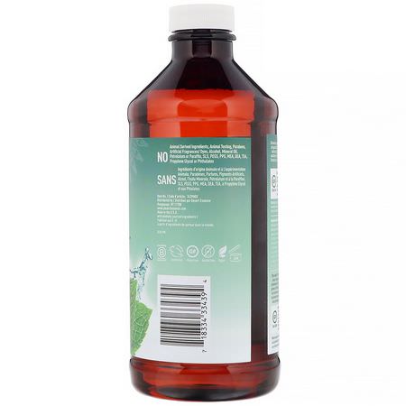 Desert Essence, Prebiotic, Plant-Based Brushing Rinse, Mint, 15.8 fl oz (467 ml):رذاذ, شطف