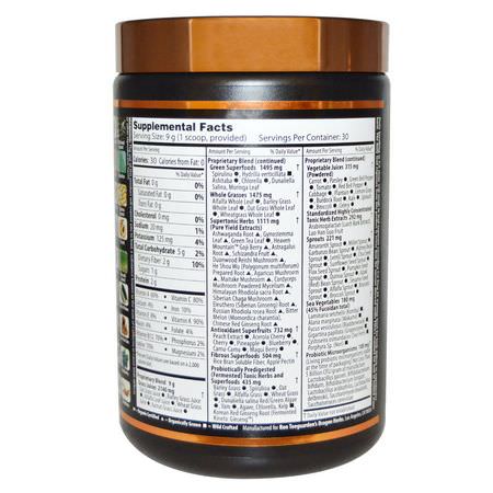 Dragon Herbs, Tonic Alchemy, Ultimate Superfood Blend, 9.5 oz (270 g):س,برف,دس, الخضر