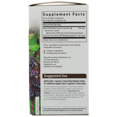 Gaia Herbs, Black Elderberry, 60 Vegan Capsules:أنفلونزا, سعال