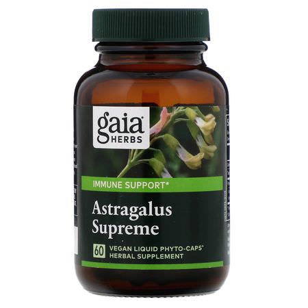 Gaia Herbs Astragalus - Astragalus, المعالجة المثلية, الأعشاب