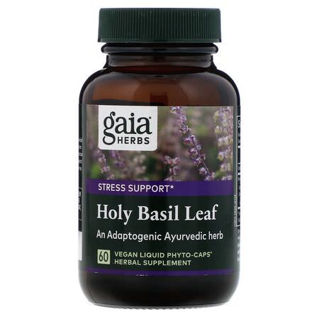 Gaia Herbs Holy Basil Tulsi - ه,لي باسيل ت,لسي, أعشاب أي,رفيدا, معالجة المثلية, أعشاب
