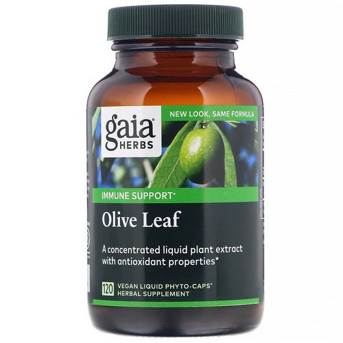 Gaia Herbs, Olive Leaf, 120 Vegan Liquid Phyto-Caps فوائد