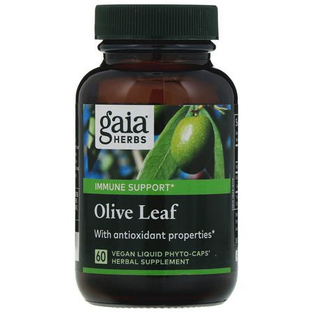 Gaia Herbs Olive Leaf Cold Cough Flu - أنفلونزا, سعال, بارد, ملاحق