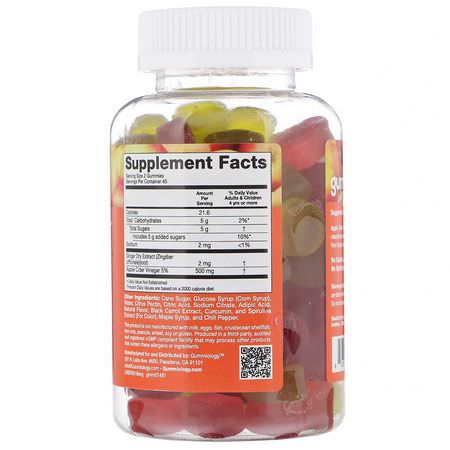 Gummiology, Adult Apple Cider Vinegar Gummies, Natural Apple Flavor, 100 Vegetarian Gummies:جذر الزنجبيل, المعالجة المثلية