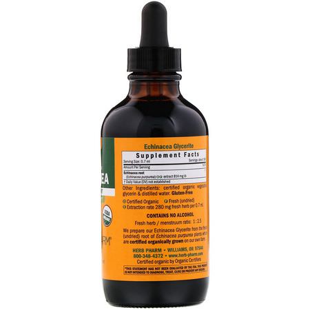 Herb Pharm, Echinacea, Alcohol-Free, 4 fl oz (120 ml):أنفلونزا, سعال