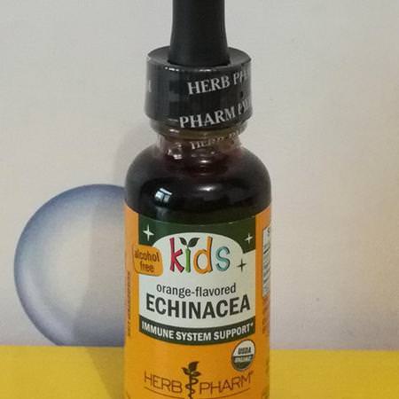 Echinacea, Homeopathy