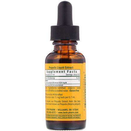 Herb Pharm, Propolis, 1 fl oz (30 ml):دنج, منتجات النحل