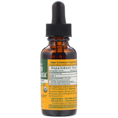 Herb Pharm, Super Echinacea, 1 fl oz (30 ml):أنفلونزا, سعال