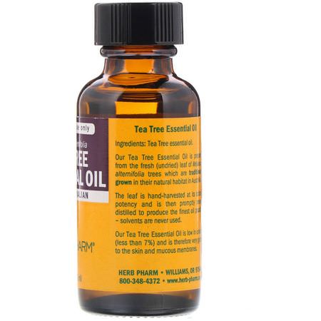 Herb Pharm, Tea Tree Essential Oil, 1 fl oz (30 ml):م,اضيع زيت زيت شجرة الشاي,زي,ت التدليك