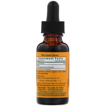 Herb Pharm, Olive, 1 fl oz (30 ml):أنفلونزا, سعال