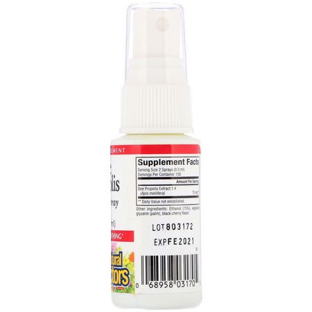 Natural Factors, Bee Propolis Throat Spray, 1 fl oz (30 ml):دنج, منتجات النحل