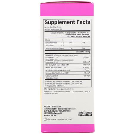 Natural Factors, Echinamide Active Support, Honey Lemon Syrup, 5 fl oz (150 ml):إشنسا, المعالجة المثلية