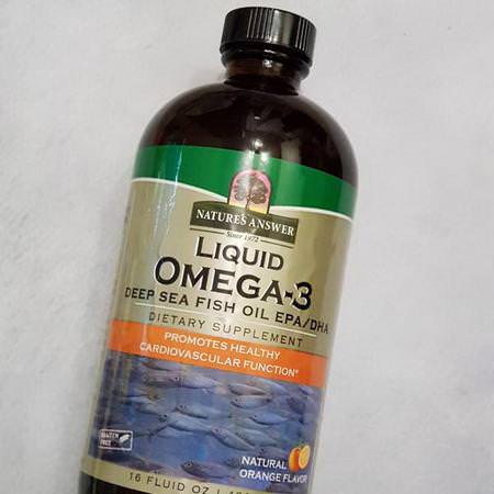 Nature's Answer, Liquid Omega-3, Deep Sea Fish Oil EPA/DHA, Natural Orange Flavor, 16 fl oz (480 ml)