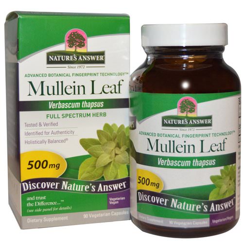 Nature's Answer, Mullein Leaf, 500 mg, 90 Vegetarian Capsules فوائد