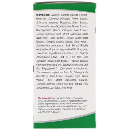 Nature's Answer, PerioBrite Cleanse, Oral Cleansing Concentrate, Coolmint, 4 fl oz (120 ml):رذاذ, شطف