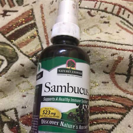 Nature's Answer, Sambucus, Black Elder Berry Extract Spray, Alcohol-Free, 2 fl oz (60 ml)