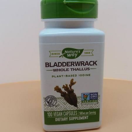 Nature's Way Bladderwrack - Bladderwrack, المعالجة المثلية, الأعشاب
