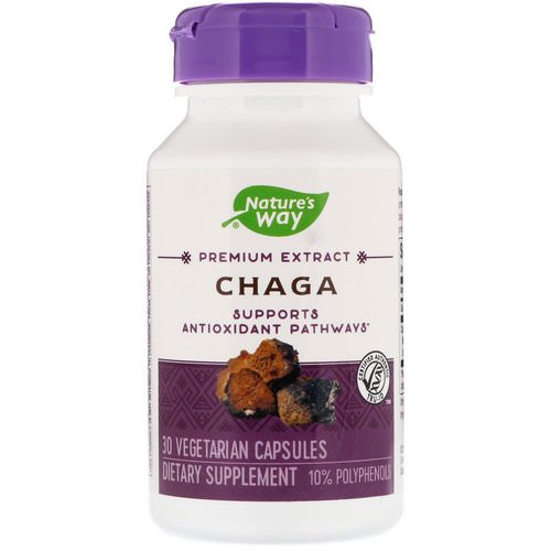 Nature's Way, Chaga, 30 Vegetarian Capsules فوائد