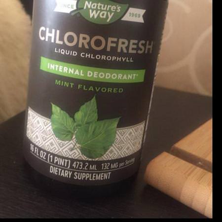 Nature's Way, Chlorofresh, Liquid Chlorophyll, Mint Flavored, 16 fl oz (473.2 ml)