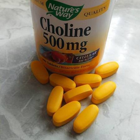 Nature's Way, Choline, 500 mg, 100 Tablets