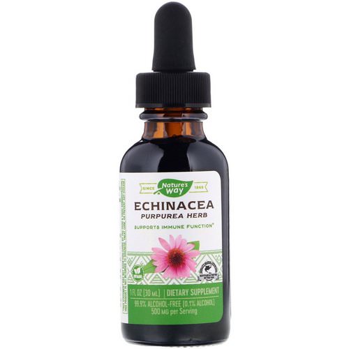Nature's Way, Echinacea, 99.9% Alcohol Free, 1 fl oz (30 ml) فوائد