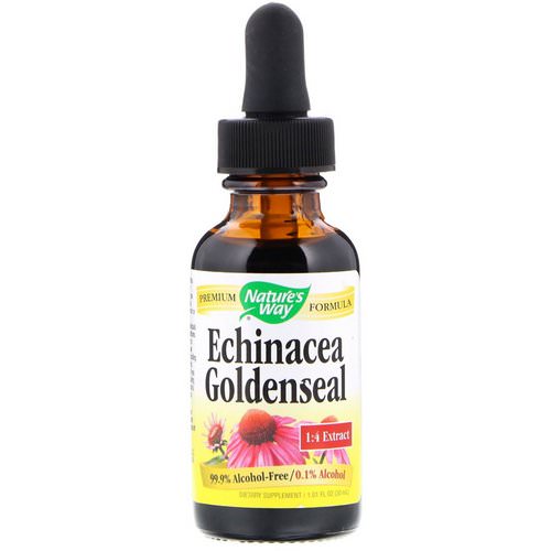 Nature's Way, Echinacea Goldenseal, Alcohol Free 99.9%, 1 fl oz (30 ml) فوائد