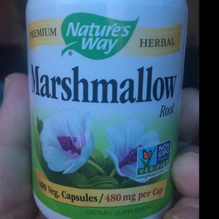Nature's Way Marshmallow Root - جذر الخطمي, المعالجة المثلية, الأعشاب