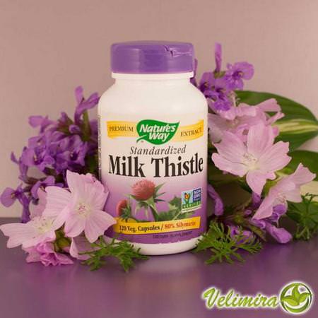 Nature's Way Milk Thistle Silymarin Liver Formulas - الكبد, المكملات الغذائية, الحليب الش,ك سيليمارين, المعالجة المثلية