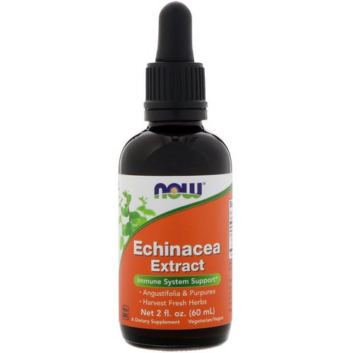 Now Foods, Echinacea Extract, 2 fl oz (60 ml) فوائد