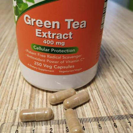 Green Tea Extract, Antioxidants