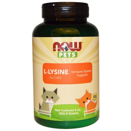 Now Foods, Now Pets, L-Lysine for Cats, 8 oz (226.8 g) فوائد